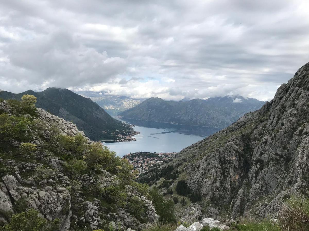 Romantic Rooftop View Hideaway- Old Town Nr 404 Kotor Extérieur photo